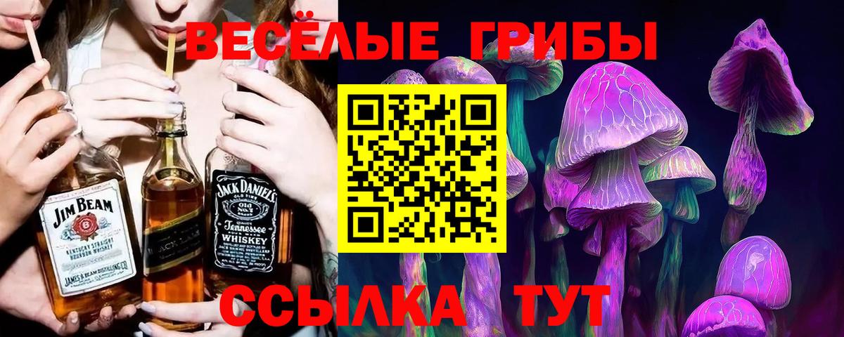 Галлюциногенные грибы Psilocybe  закладка  Новочеркасск  Вход с VPN 